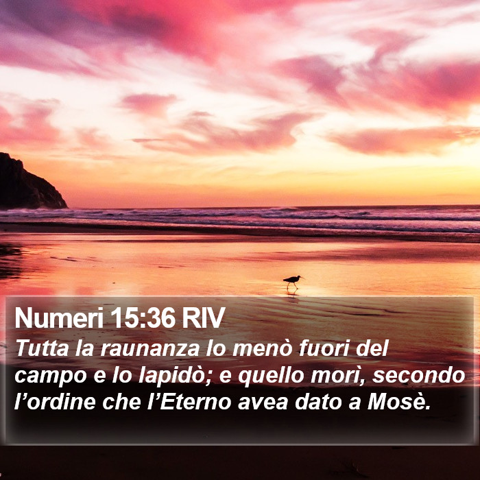 Numeri 15:36 RIV Bible Study