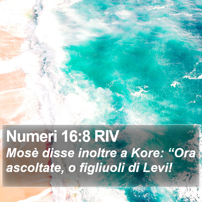 Numeri 16:8 RIV Bible Study