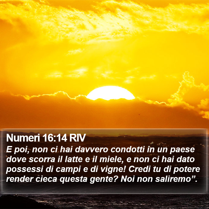 Numeri 16:14 RIV Bible Study