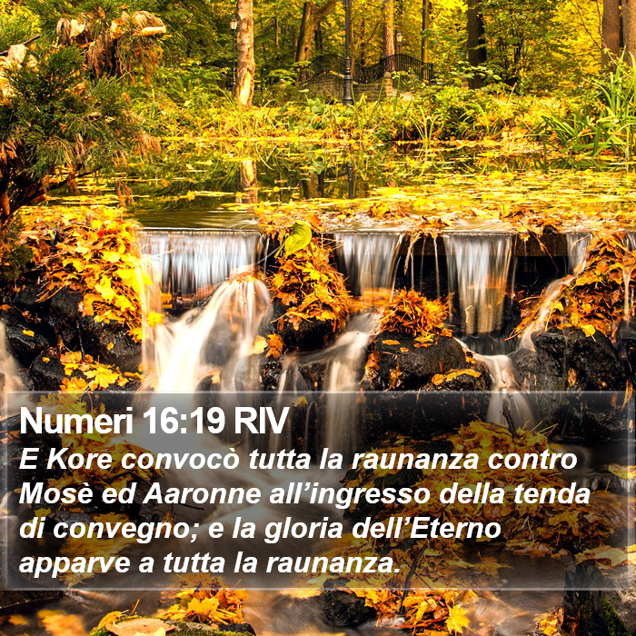 Numeri 16:19 RIV Bible Study
