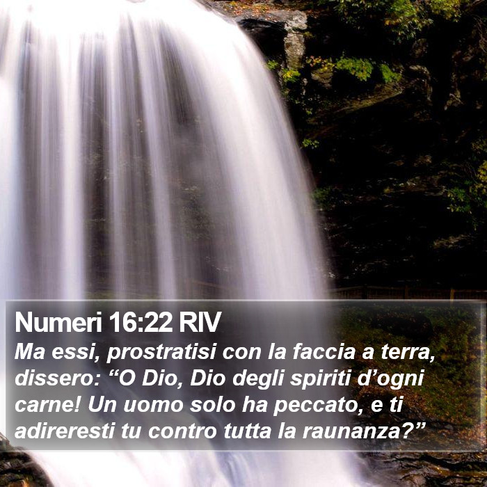 Numeri 16:22 RIV Bible Study