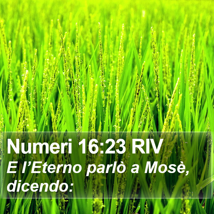 Numeri 16:23 RIV Bible Study