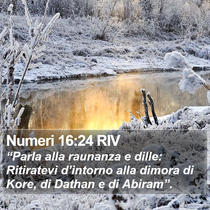 Numeri 16:24 RIV Bible Study