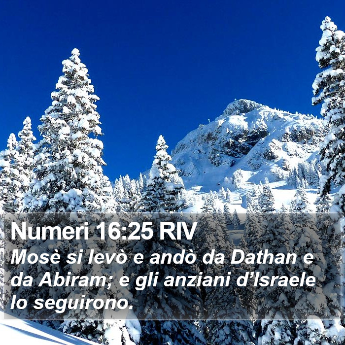 Numeri 16:25 RIV Bible Study