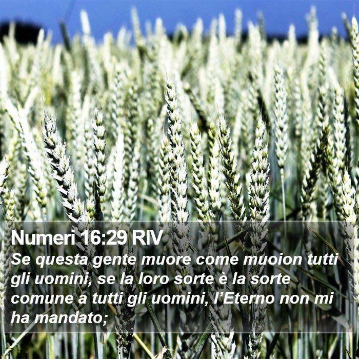 Numeri 16:29 RIV Bible Study