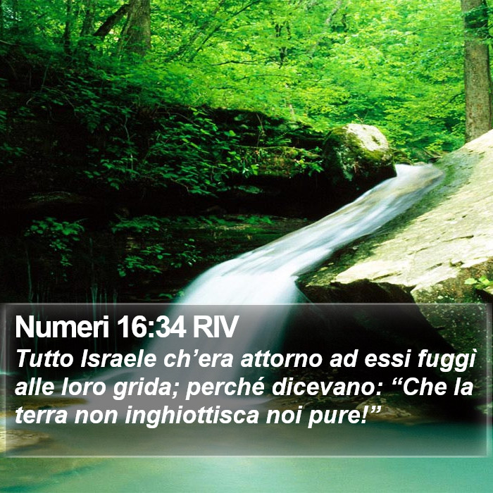 Numeri 16:34 RIV Bible Study