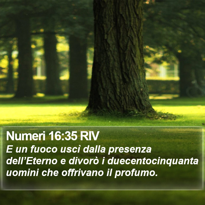 Numeri 16:35 RIV Bible Study