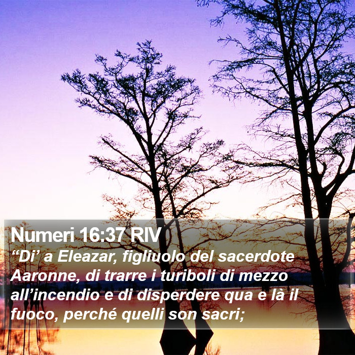 Numeri 16:37 RIV Bible Study