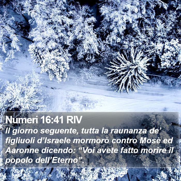 Numeri 16:41 RIV Bible Study