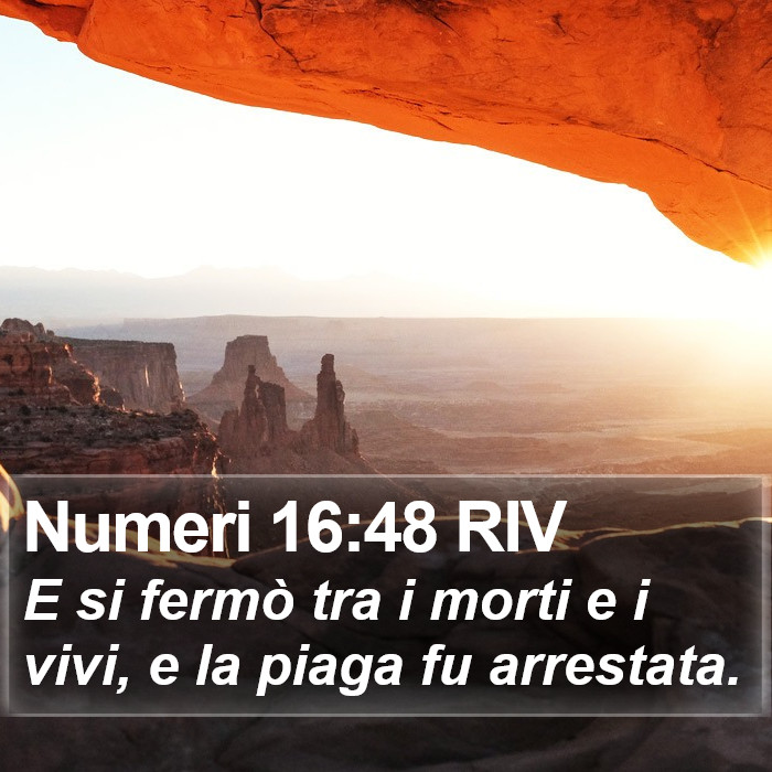 Numeri 16:48 RIV Bible Study