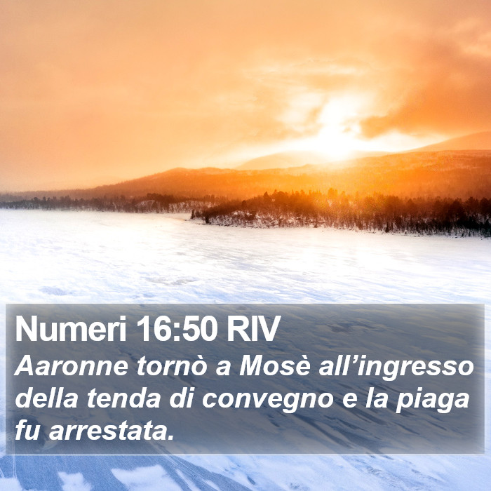 Numeri 16:50 RIV Bible Study
