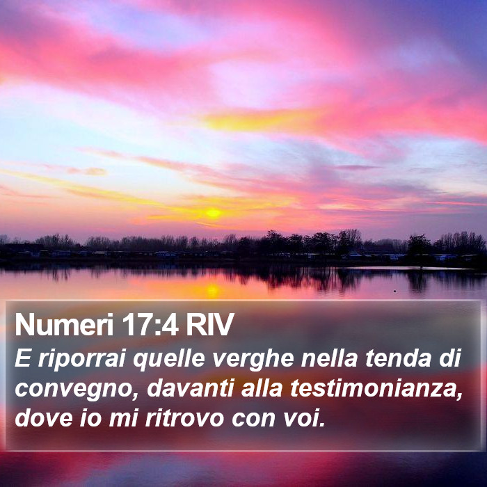 Numeri 17:4 RIV Bible Study