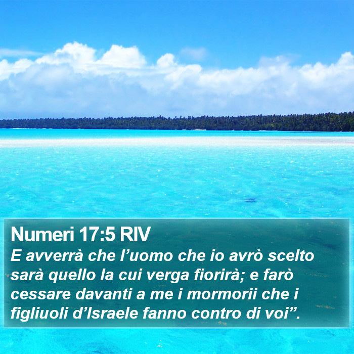 Numeri 17:5 RIV Bible Study