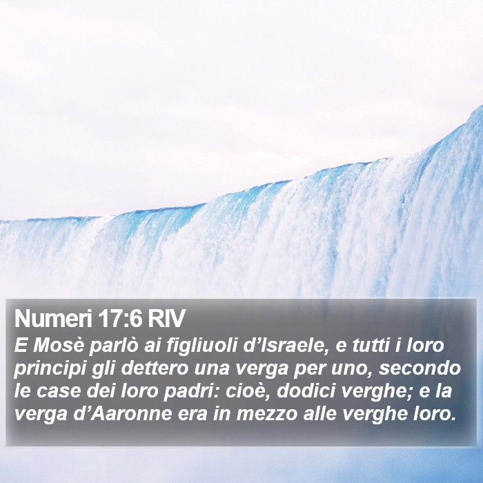 Numeri 17:6 RIV Bible Study