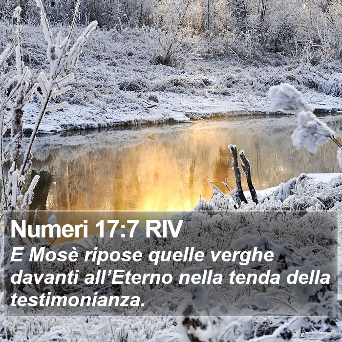 Numeri 17:7 RIV Bible Study