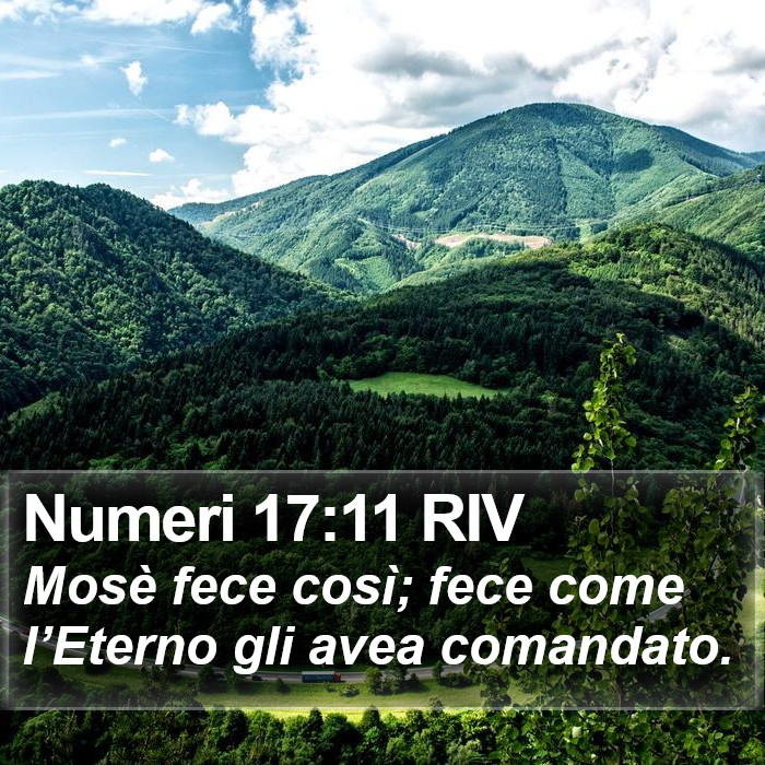 Numeri 17:11 RIV Bible Study