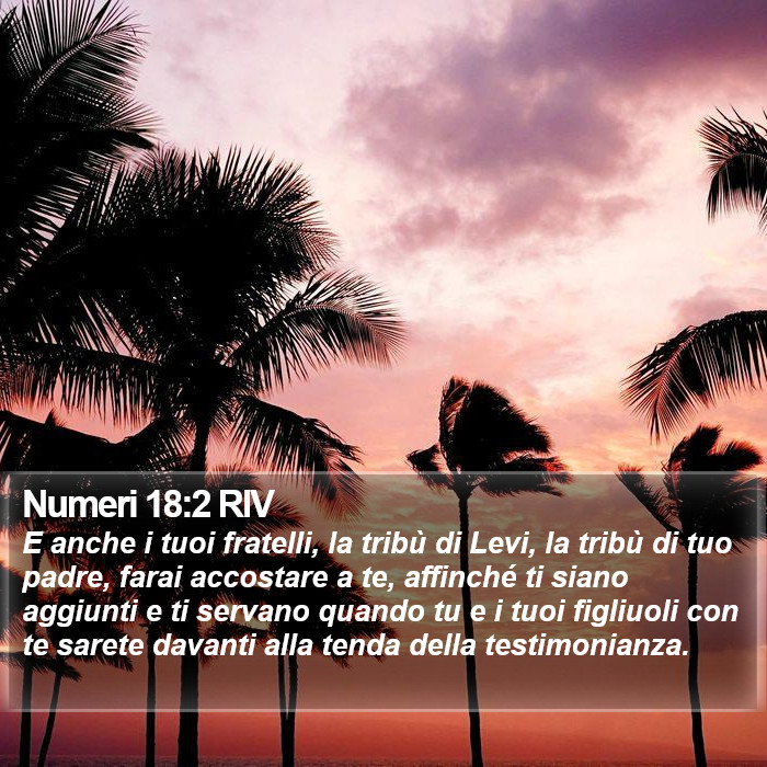 Numeri 18:2 RIV Bible Study