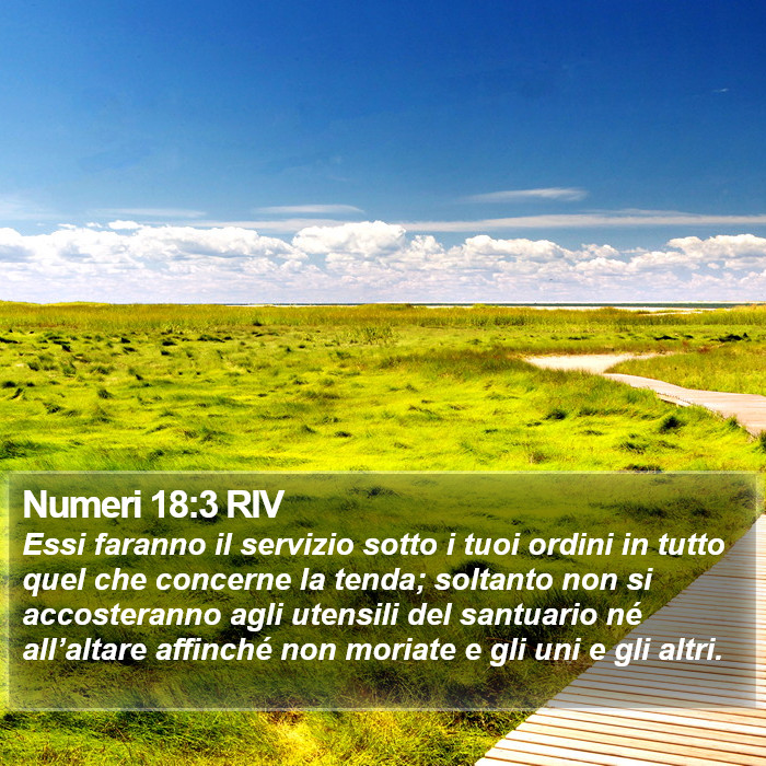 Numeri 18:3 RIV Bible Study