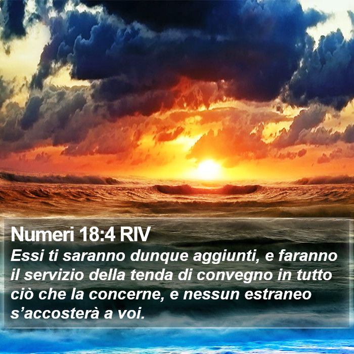 Numeri 18:4 RIV Bible Study