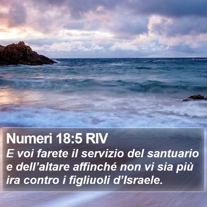 Numeri 18:5 RIV Bible Study