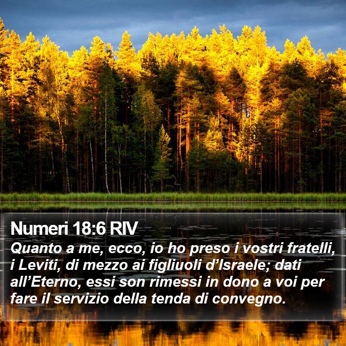 Numeri 18:6 RIV Bible Study