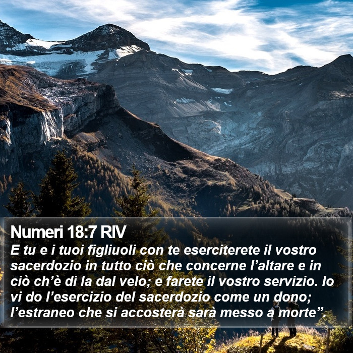 Numeri 18:7 RIV Bible Study