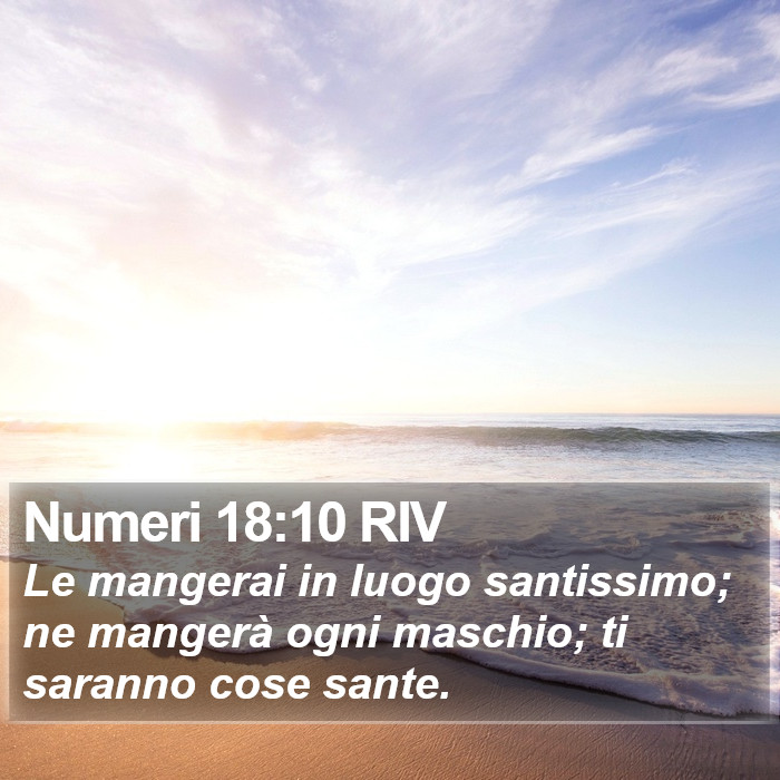 Numeri 18:10 RIV Bible Study