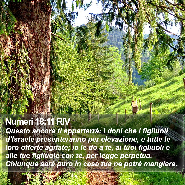 Numeri 18:11 RIV Bible Study