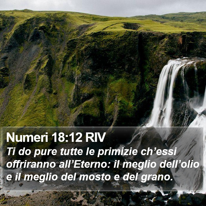 Numeri 18:12 RIV Bible Study