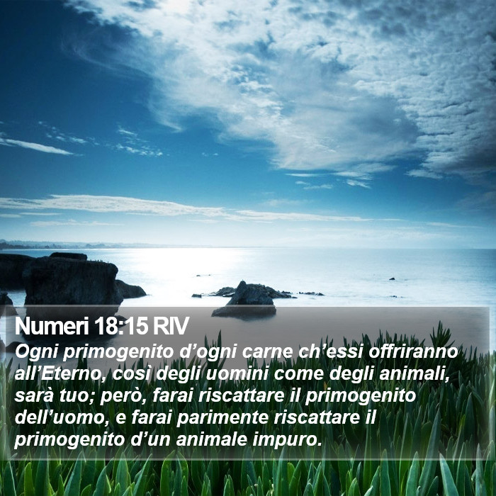 Numeri 18:15 RIV Bible Study