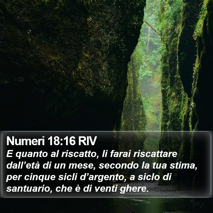 Numeri 18:16 RIV Bible Study