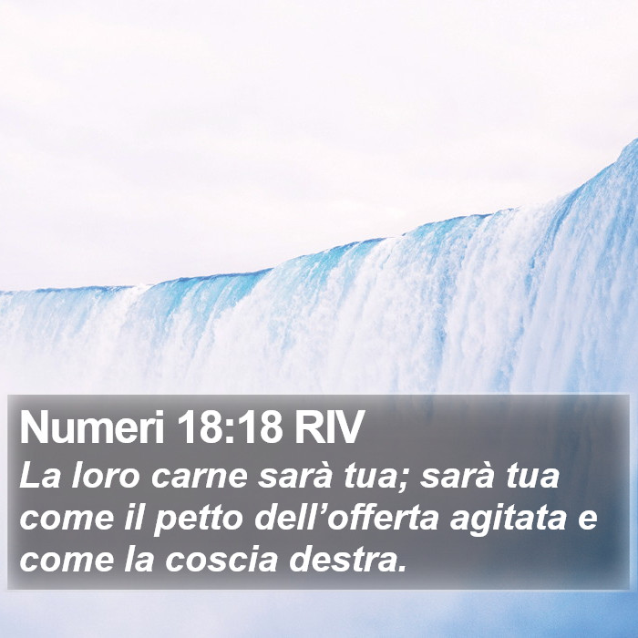 Numeri 18:18 RIV Bible Study