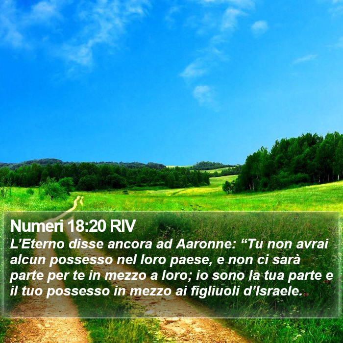 Numeri 18:20 RIV Bible Study