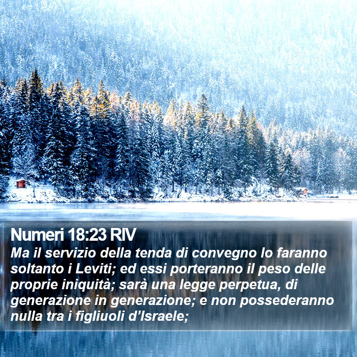 Numeri 18:23 RIV Bible Study