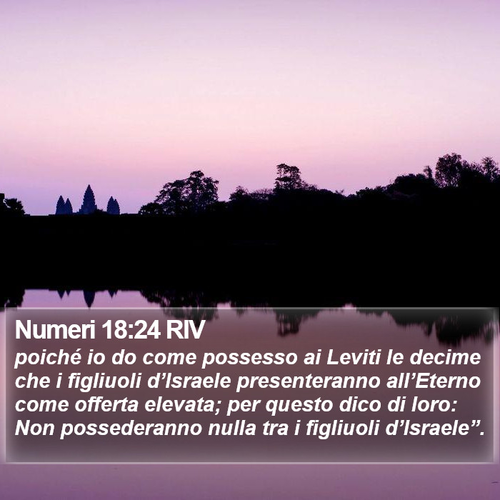 Numeri 18:24 RIV Bible Study