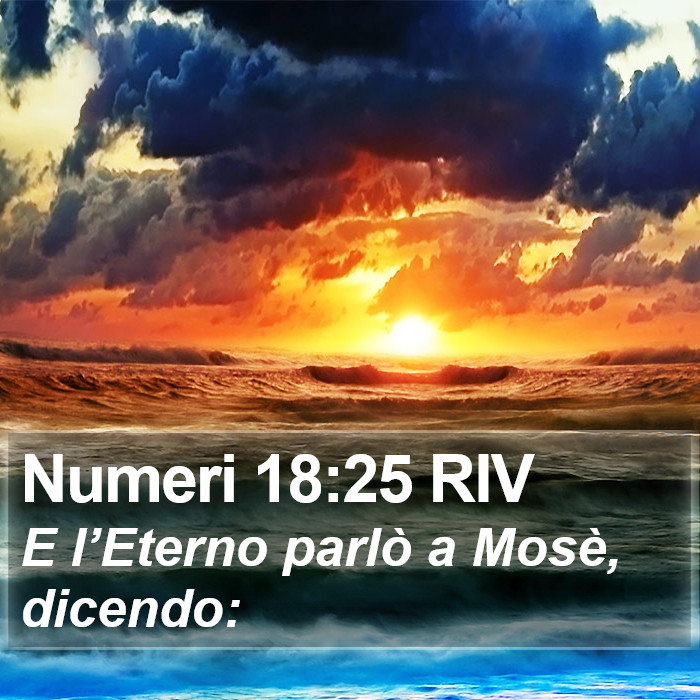 Numeri 18:25 RIV Bible Study