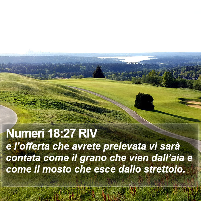 Numeri 18:27 RIV Bible Study