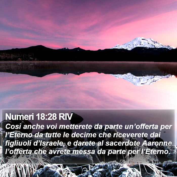 Numeri 18:28 RIV Bible Study