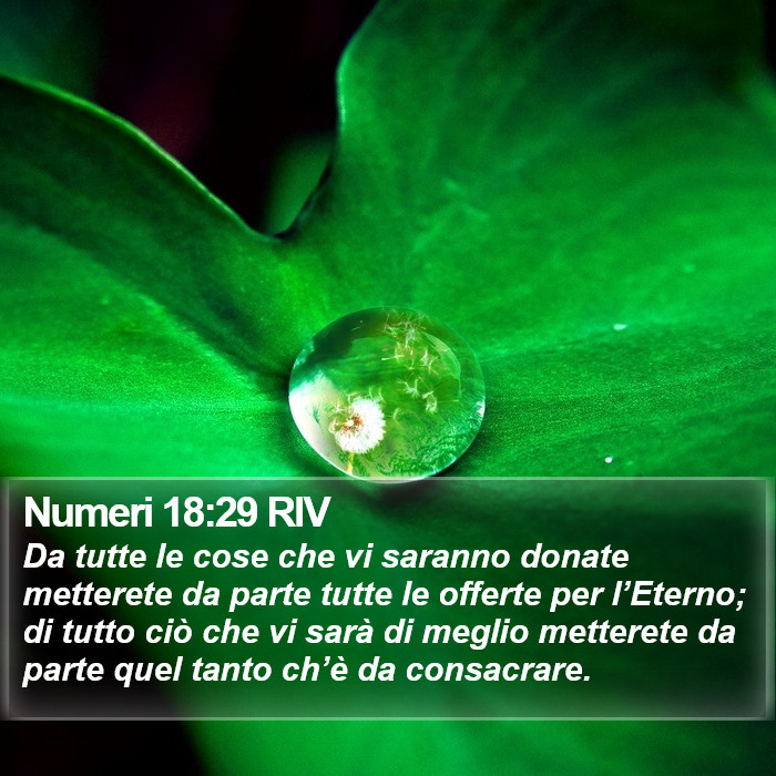 Numeri 18:29 RIV Bible Study