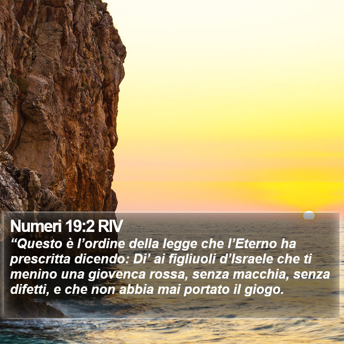 Numeri 19:2 RIV Bible Study