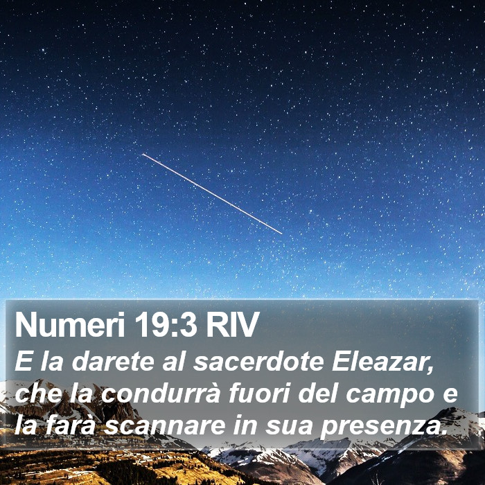 Numeri 19:3 RIV Bible Study