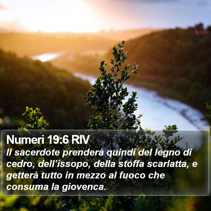 Numeri 19:6 RIV Bible Study