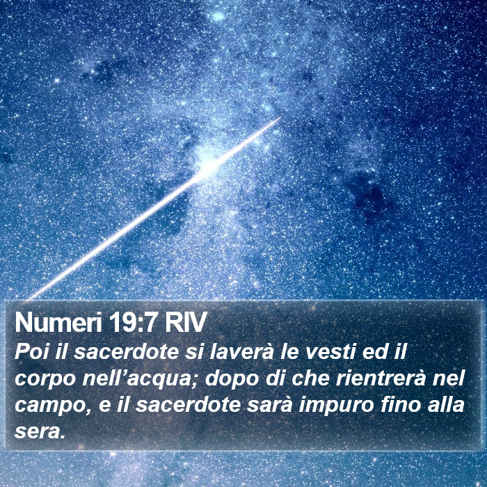 Numeri 19:7 RIV Bible Study