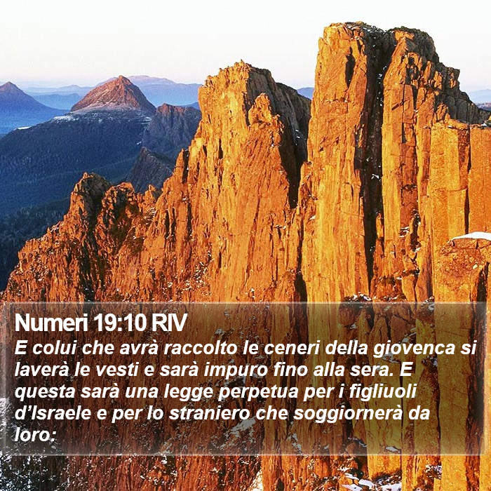 Numeri 19:10 RIV Bible Study