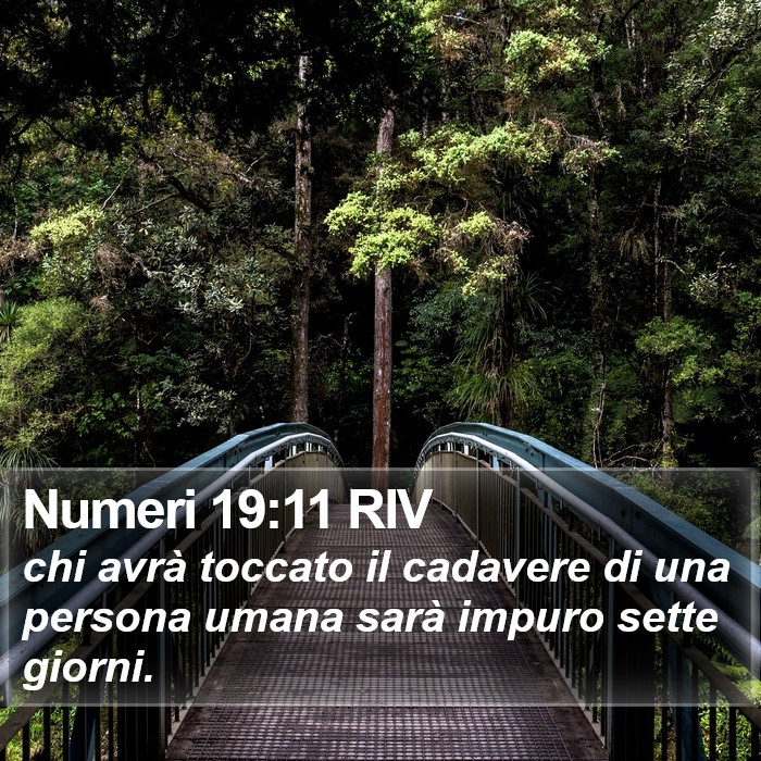 Numeri 19:11 RIV Bible Study