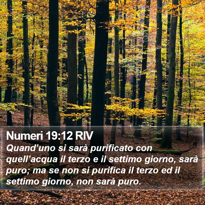 Numeri 19:12 RIV Bible Study