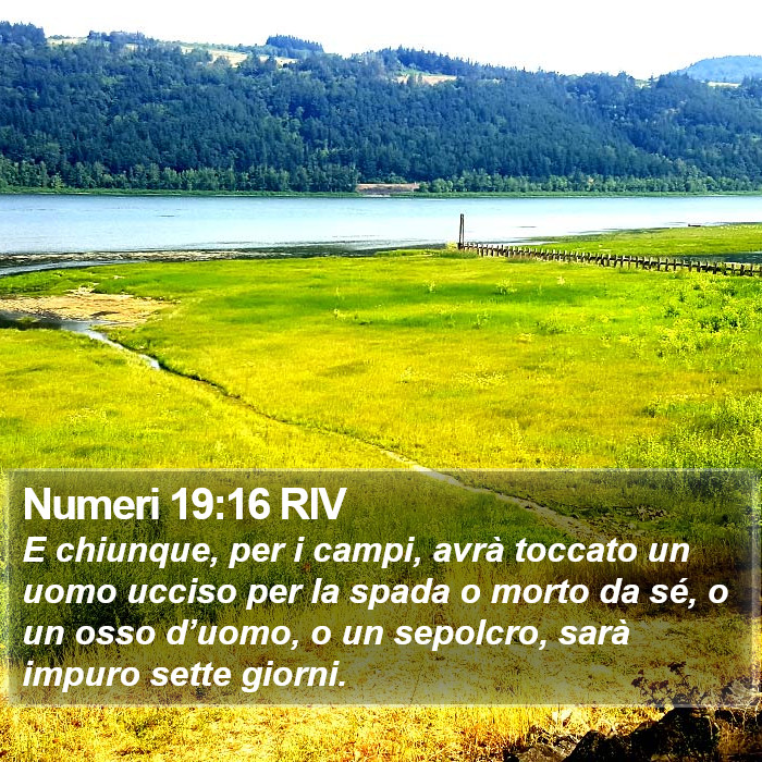 Numeri 19:16 RIV Bible Study