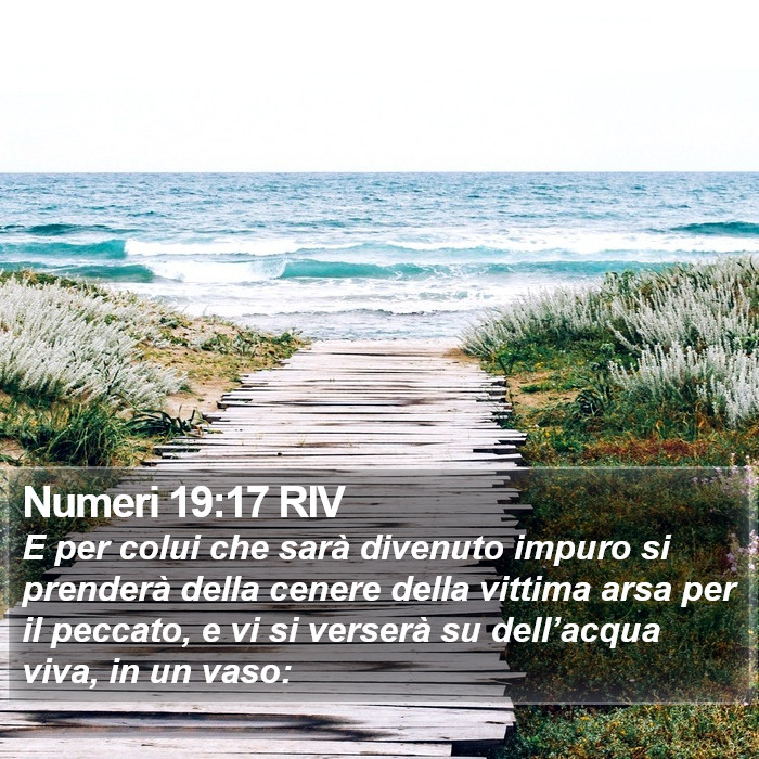 Numeri 19:17 RIV Bible Study