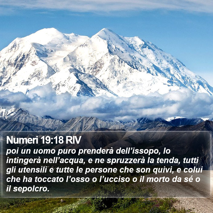 Numeri 19:18 RIV Bible Study