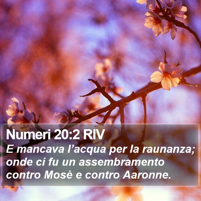 Numeri 20:2 RIV Bible Study